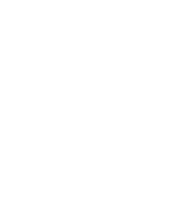 Alevenio Logo